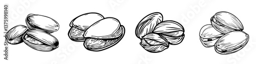Various stages of pistachio shells and nuts displayed on a white background showcasing their unique shapes