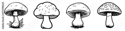 Various species of mushrooms depicted in black and white illustrations showcasing unique shapes and features