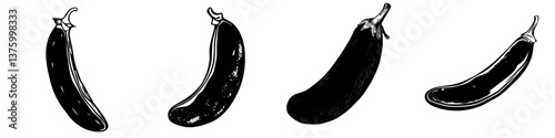 Illustrations of different types of eggplant on a plain background showcasing their shapes and sizes