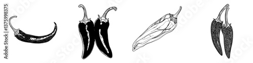 Colorful illustrations of various chili peppers from different angles in a decorative display for culinary inspiration