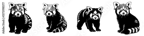 Charming red panda illustrations showcasing playful nature and distinctive features in a monochrome design