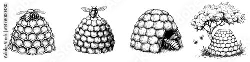 Detailed illustrations of bees and hives showcasing different types of beehives and pollination activities