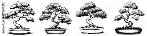 Different styles of bonsai trees displayed in pots showcasing unique shapes and sizes in an artful arrangement