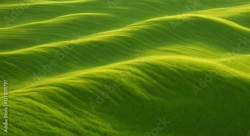A UHD time-lapse of an expansive green field where the wind creates mesmerizing waves in the grass, resembling an ocean. The camera captures slow-motion details of individual blades bending gracefully
