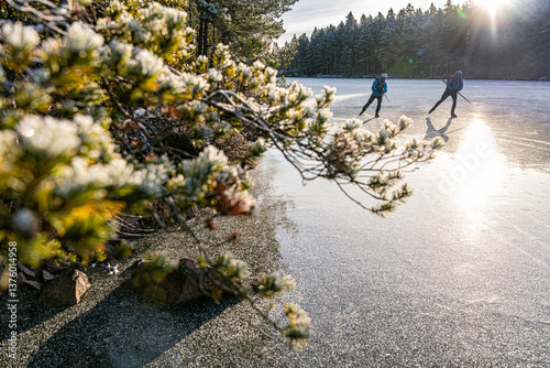 Male friends ice skating on frozen lake at sunny day