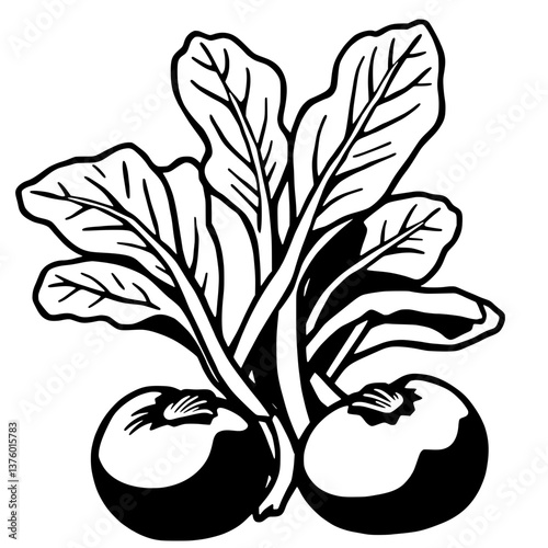 Fresh Turnips With Lush Green Leaves Illustration