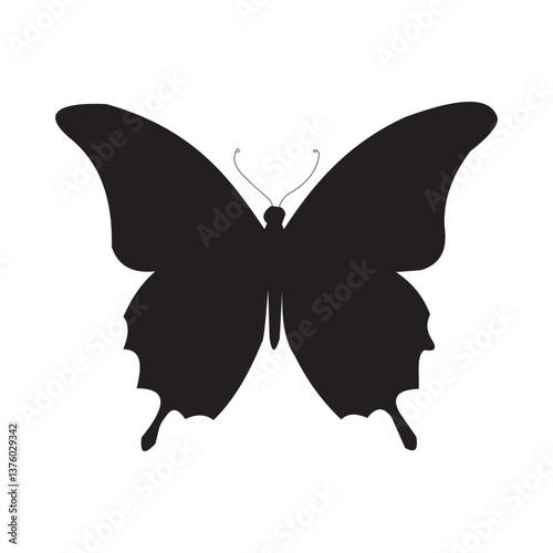 butterfly vector illustration