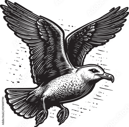 Seagull bird vector illustration