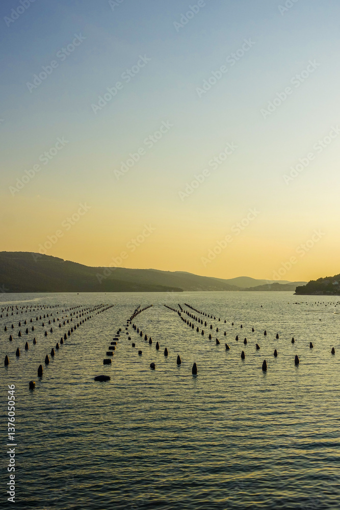 Muschelfarm im Meer, Dalmatien, Kroatien