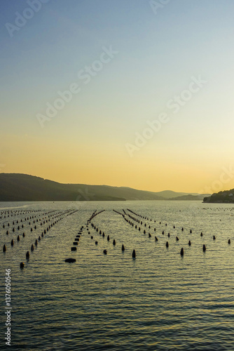 Obraz na płótnie Muschelfarm im Meer, Dalmatien, Kroatien w salonie