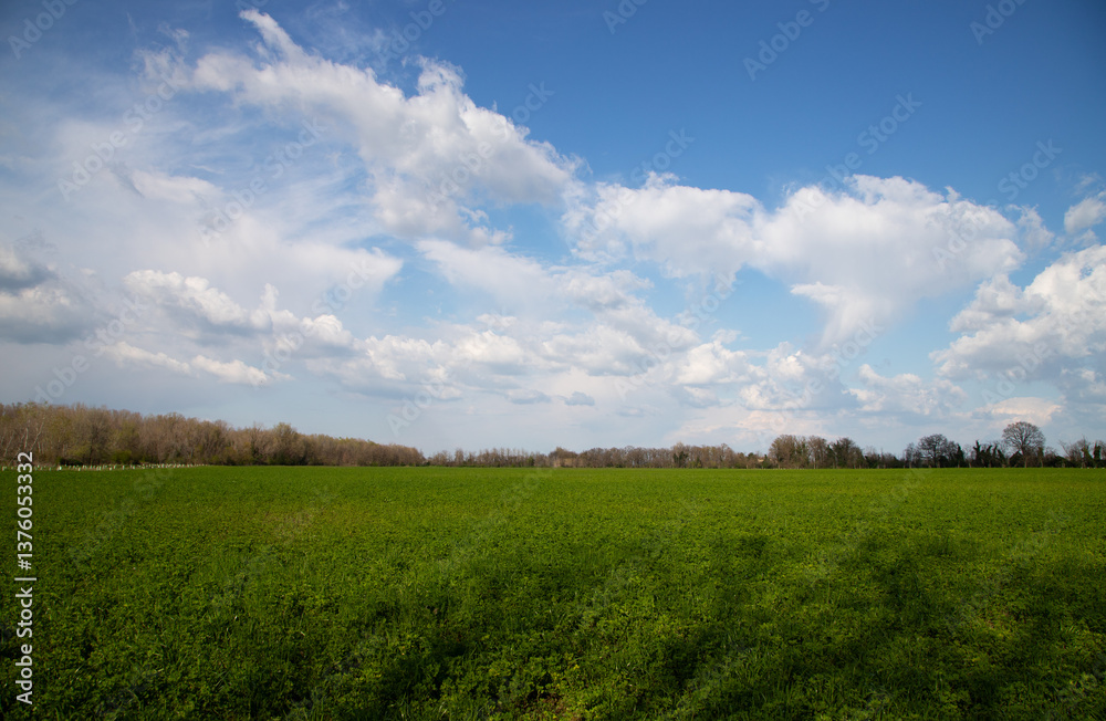 Obraz premium Agricultural field with forest horizon cloudy sky rural landscape nature photography scenic view