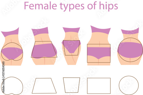 set of female types of hips