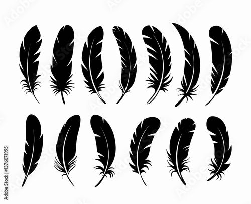 A collection of black feather silhouettes is arranged on a gray background, creating a simple yet elegant pattern