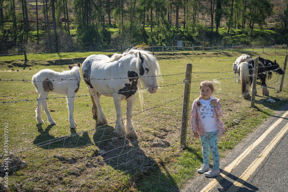 A joyful child stands close to adorable ponies in a lush green pasture, perfectly showcasing a beautiful and bright day spent enjoying natures beauty, Bohernabreena Reservoir, Dublin, Ireland