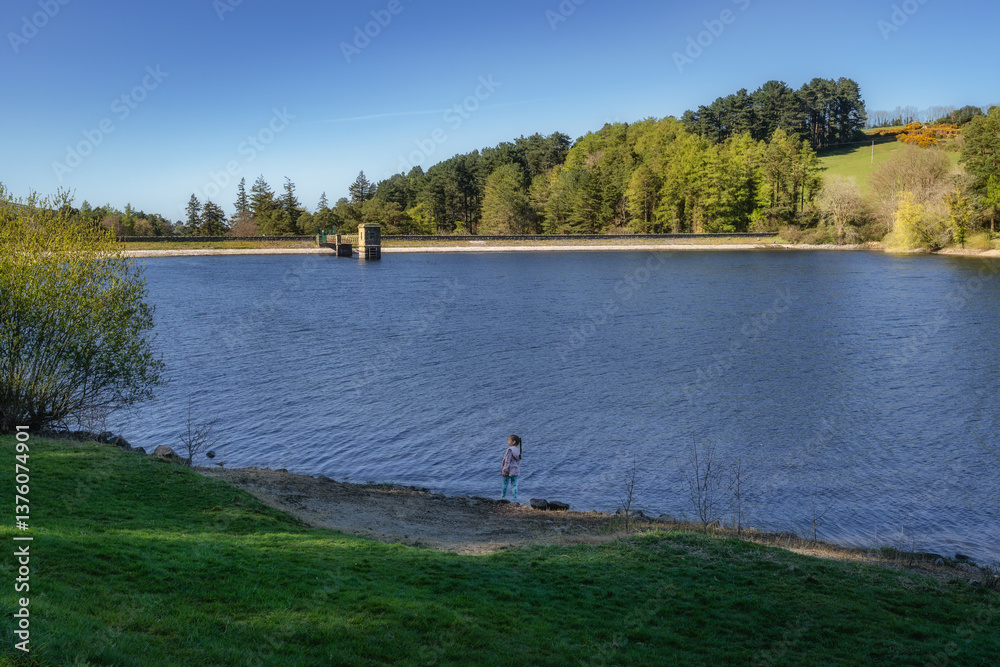 A serene and peaceful lakeside view showcasing vibrant, lush greenery surrounding calm, blue water, with a lone girl fully immersed in the beauty of nature, Bohernabreena Reservoir, Dublin, Ireland
