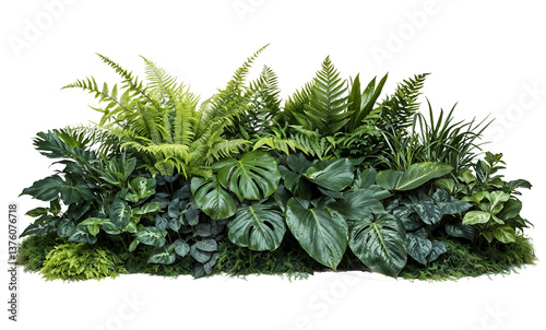 Bild auf Leinwand Lush green tropical plants arrangement featuring various ferns and broad-leaved