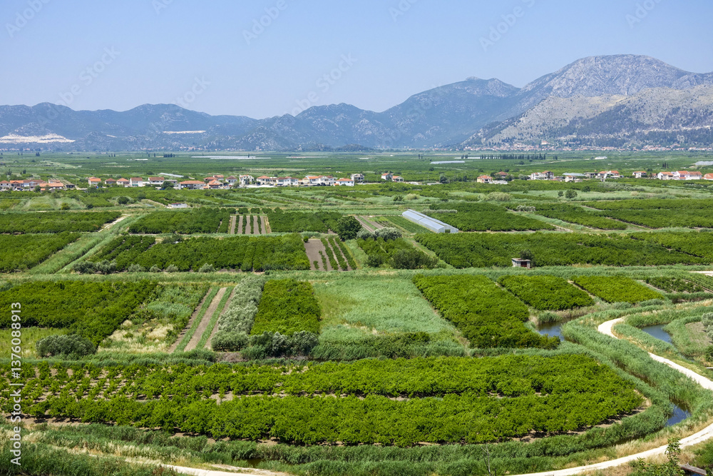 Fruchtbare Beckenlandschaft an der Makarska Riviera, Dalmatien,