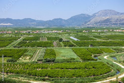 Obraz na płótnie Fruchtbare Beckenlandschaft an der Makarska Riviera, Dalmatien, w salonie