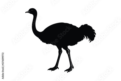 Ostrich vector silhouette
