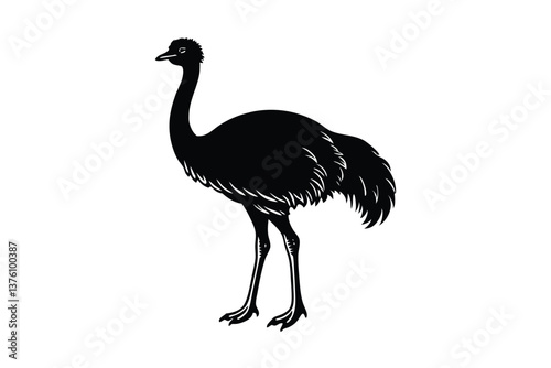 Emu vector silhouette