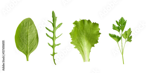 Fresh baby leaf greens, spinach, lettuce salad, arugula and parsley, isolated on white background top view