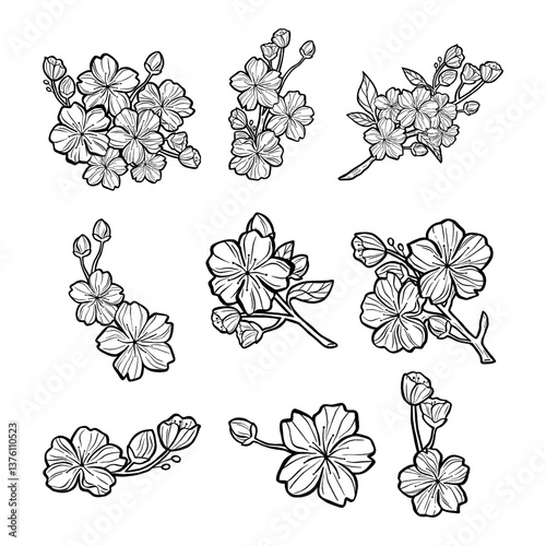 Drawing Beauty Bunch of Sakura Outline. Vector illustration about Nature.