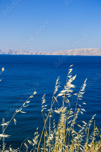 Obraz na płótnie Novi Vinodolski, Kvarner Bucht, Kroatien, Blick auf Insel Krk w salonie