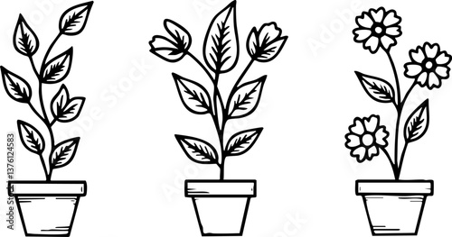 A set of minimalist potted plant illustrations in blue and black line art styles, featuring botanical elements and floral motifs on clean white backgrounds.