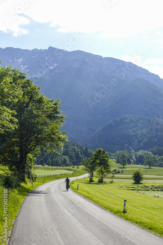 Obraz na płótnie Heuwiese, Losenheim, Schneeberg-Region, NIederösterreich, Öste w salonie