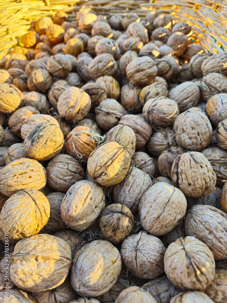 Close-up of freshly harvested walnuts.