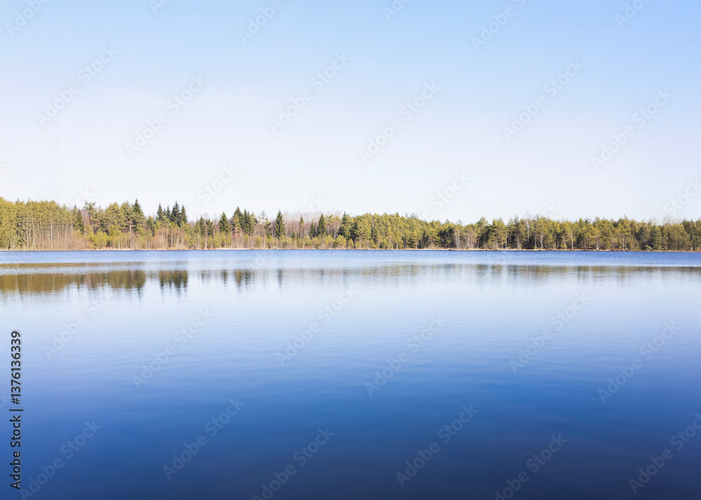 lake in the forest lake in the forest