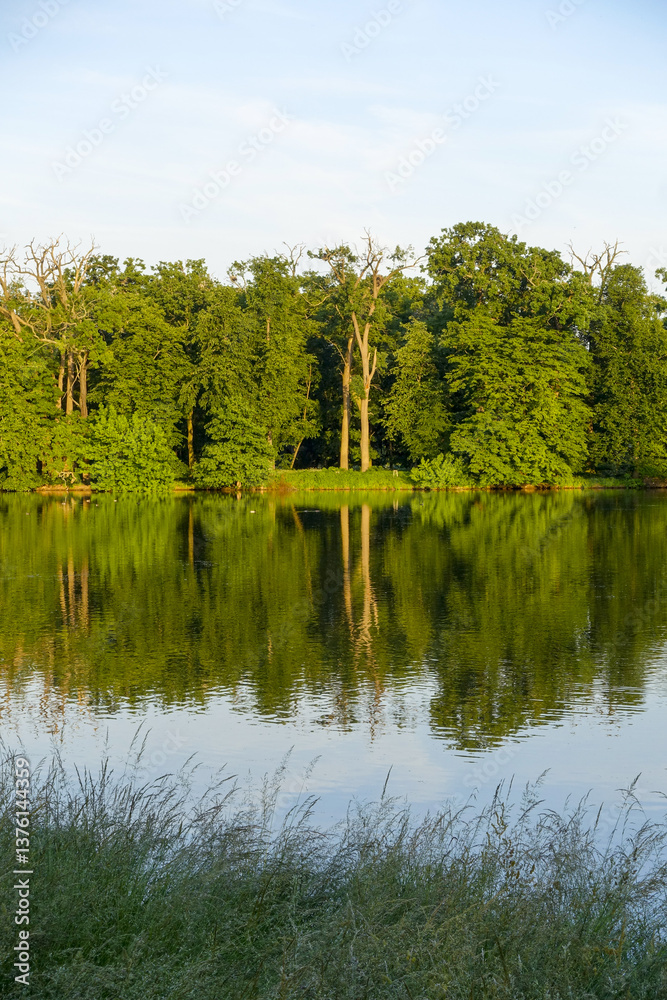 Fototapeta premium Vogelkolonie, Landschaftsgarten, UNESCO Weltkulturerbe, Lednice,