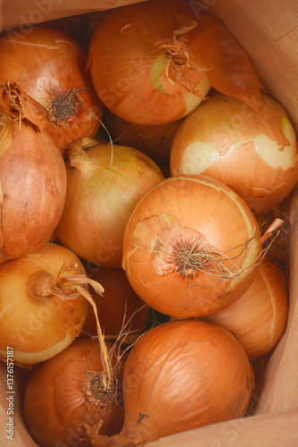 A close-up, top-down view of several brown onions packed inside a brown paper bag