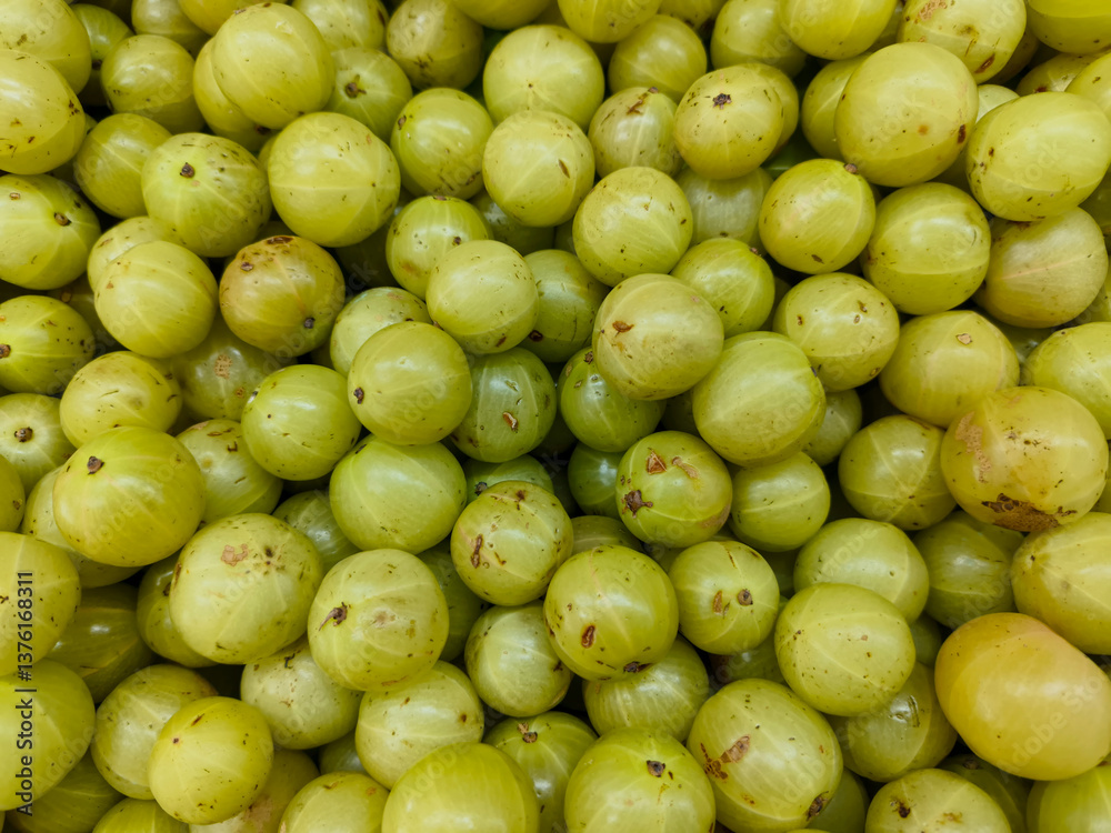 Phyllanthus emblica, also known as emblic, emblic myrobalan, nellikai, Indian gooseberry, Malacca tree, amloki or green amla, is a deciduous tree of Phyllanthaceae family. most medicinal herbal fruit Phyllanthus emblica, also known as emblic, emblic myrobalan, nellikai, Indian gooseberry, Malacca tree, amloki or green amla, is a deciduous tree of Phyllanthaceae family. most medicinal herbal fruit