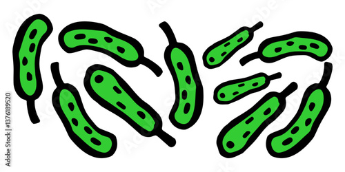 Vector horizontal banner of colored cucumbers on a white isolated background
