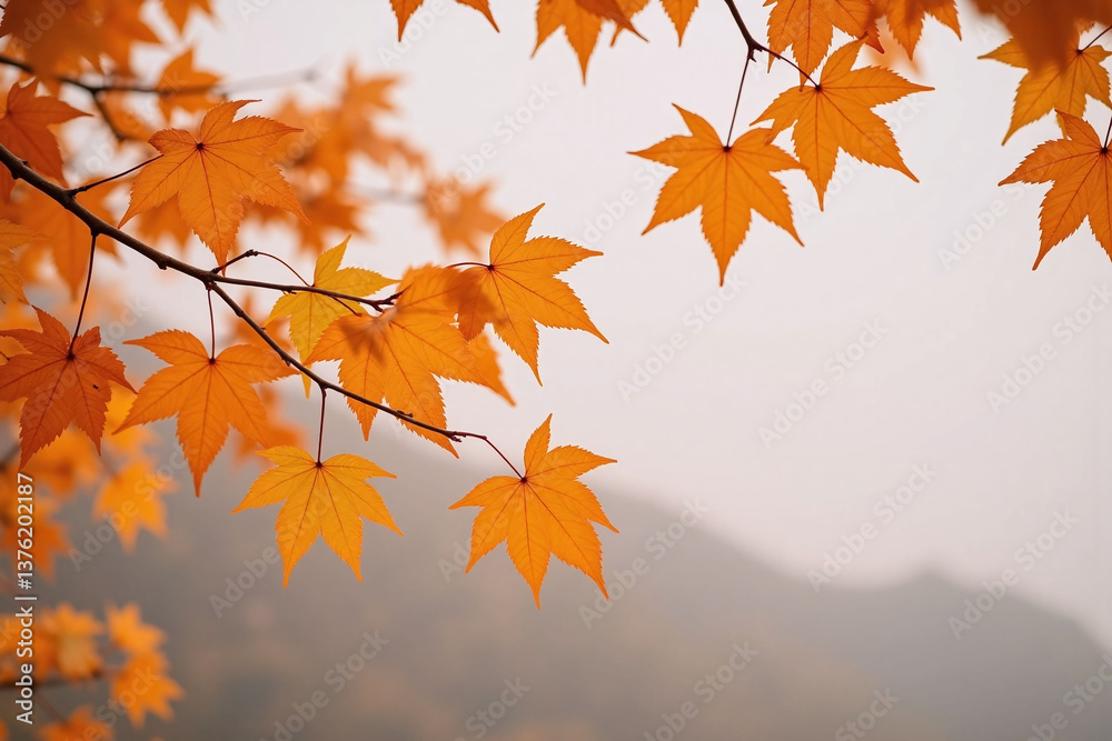 branch of a tree with orange leaves on it branch of a tree with orange leaves on it