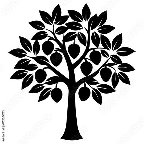 Chikoo Tree