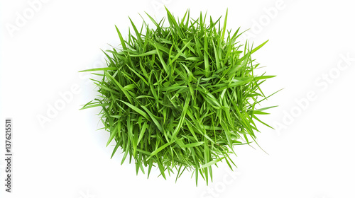 Obraz na płótnie Top View of a Round Cluster of Fresh Green Grass on White Background w salonie