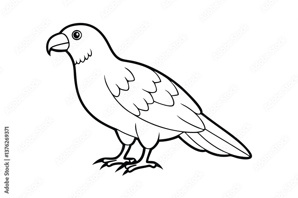 Fototapeta premium Line Art Drawing of a Bird Parrot, Avian, Wildlife, Nature