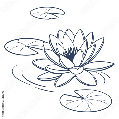 water lily flower