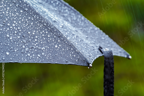 Umbrella detail on a rainy day