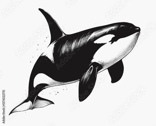 Majestic Guardian of the Deep Orca line art drawing of lion Laugh ink sketch vector hand drawn illustration background