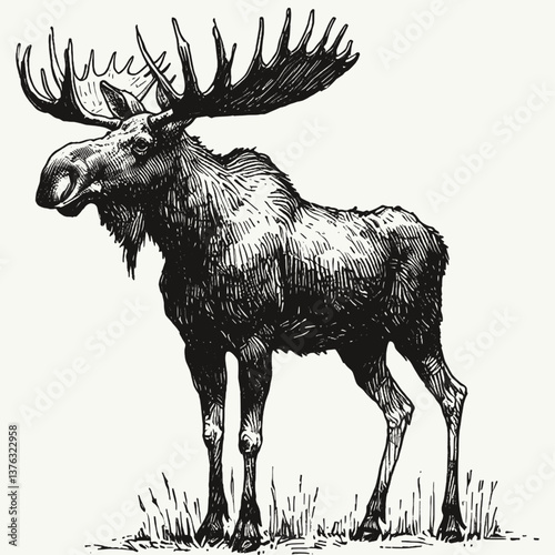 Guardian of the Glade Moose line art drawing of lion Laugh ink sketch vector hand drawn illustration background