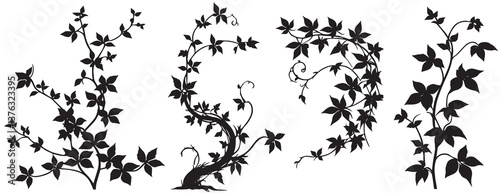 ivy plant branch set silhouette vector art illustration