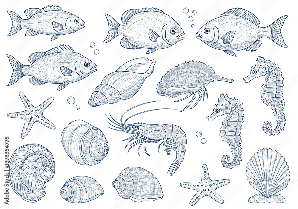 Fish with seashells and starfish and seahorse marine life underwater creatures drawing illustration Fish with seashells and starfish and seahorse marine life underwater creatures drawing illustration