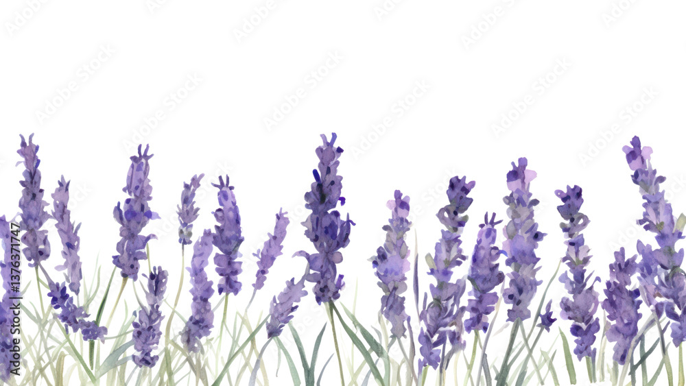 Naklejka premium PNG Lavender blossom flower plant.