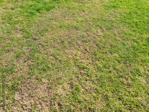 Close-up view of a patchy grass field showing healthy green spots alongside dry, brown patches, symbolizing the need for lawn care and maintenance.
