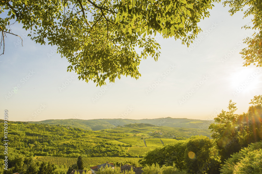 Motovun, Istrien Kroatien, Kroatien, Istrien