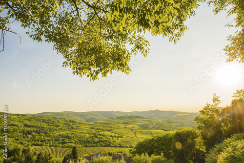 Obraz na płótnie Motovun, Istrien Kroatien, Kroatien, Istrien w salonie