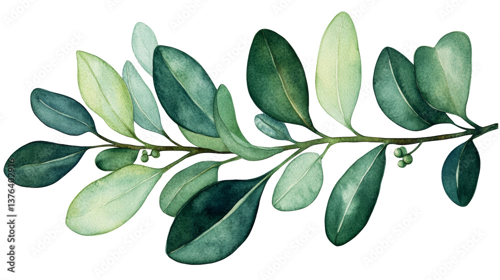 Naklejka premium Botanical branch with leaves on a transparent background